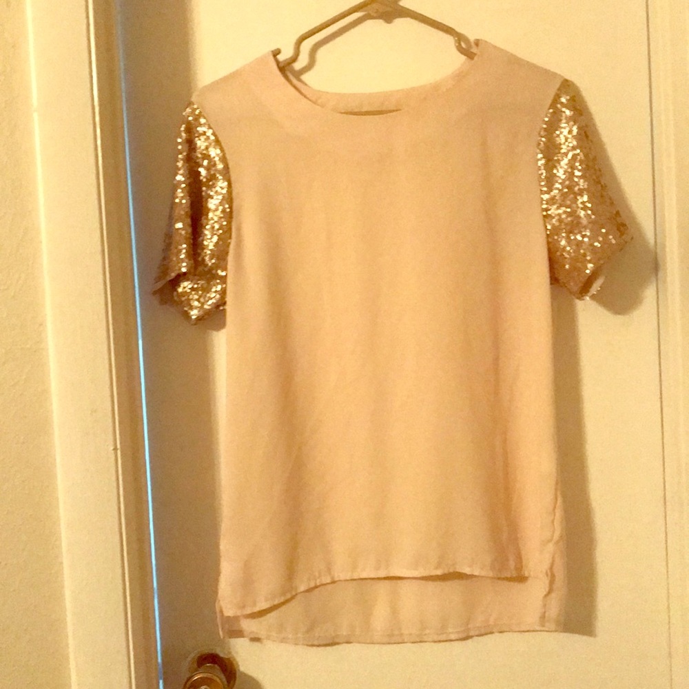 Sparkly sleeve blouse